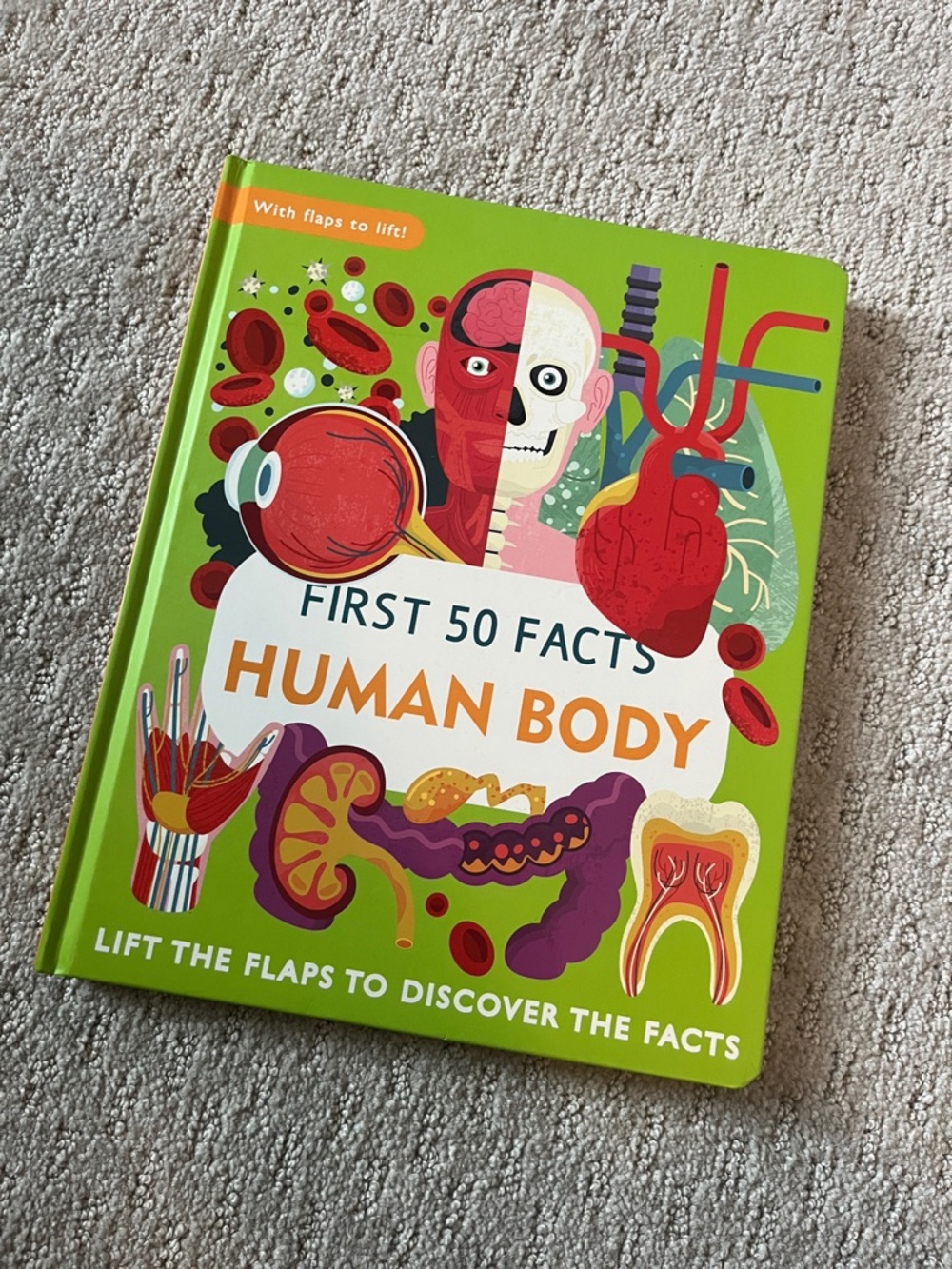First 50 Facts: Human Body Board Book - Bright Green